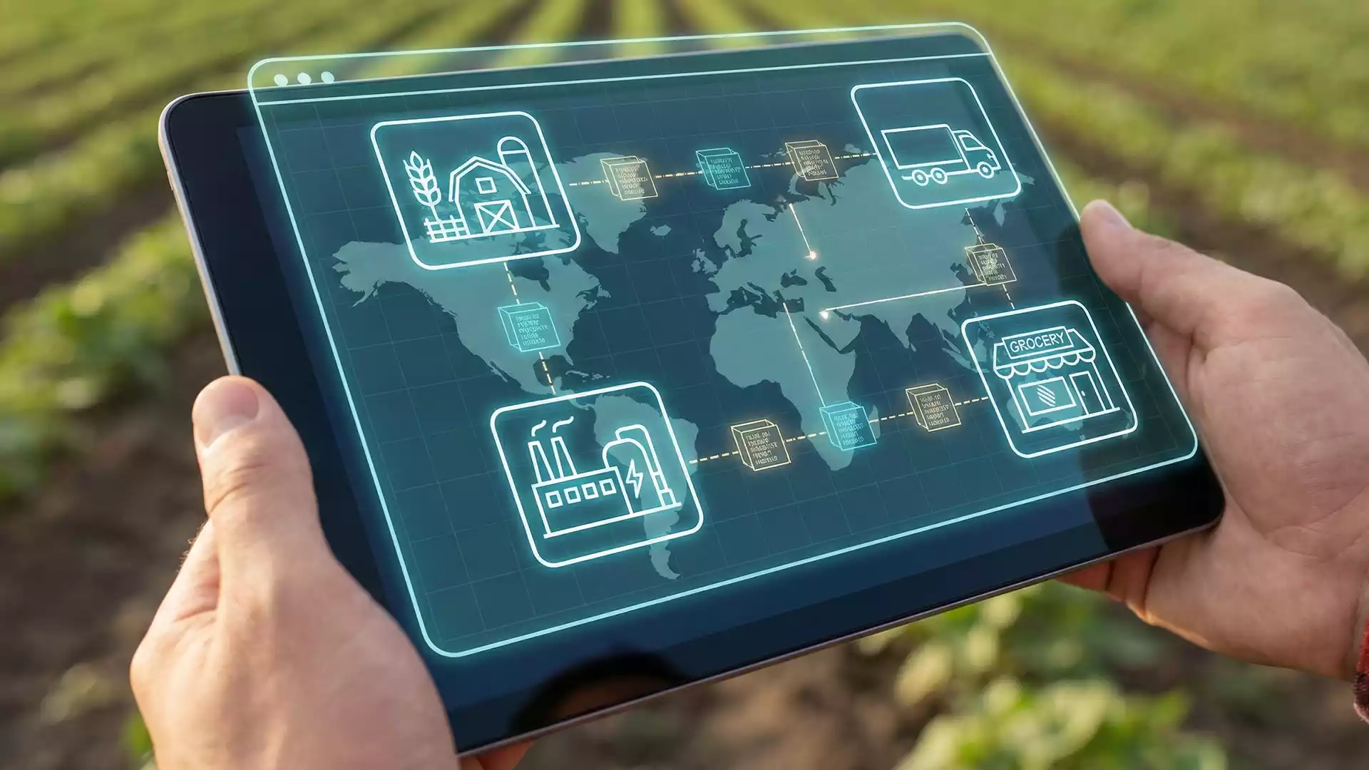 a Blockchain food traceability mapping a transparent farm supply chain